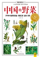 中国的野菜