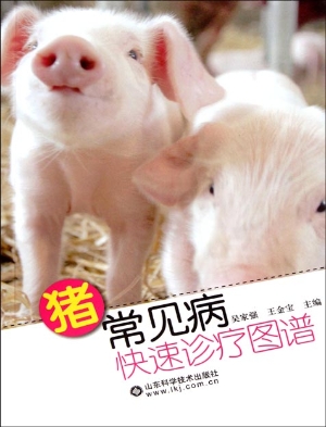 猪常见病快速诊疗图谱