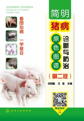 简明猪病诊断与防治原