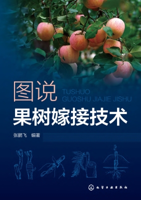 图说果树嫁接技术