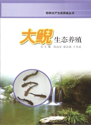 大鲵生态养殖
