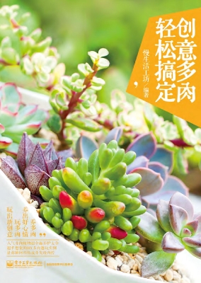 创意多肉 轻松搞定