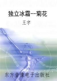 独立冰霜--菊花