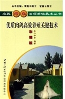 优质肉鸽高效养殖关键