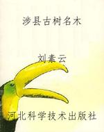 涉县古树名木