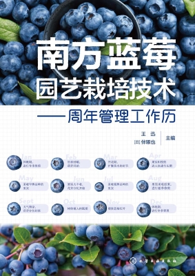 南方蓝莓园艺栽培技术
