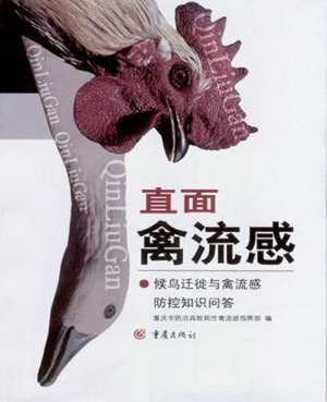 直面禽流感