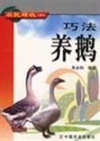 巧法养鹅