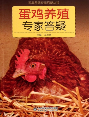 蛋鸡养殖专家答疑