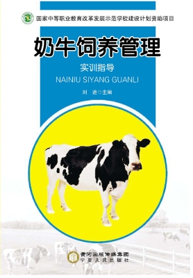 奶牛饲养管理