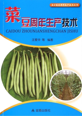 菜豆周年生产技术