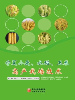宁夏小麦、水稻、玉米