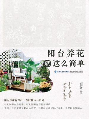 阳台养花就这么简单