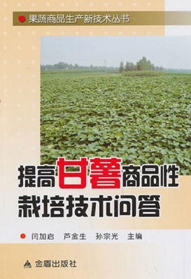 提高甘薯商品性栽培技