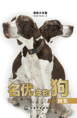 名优宠物狗品种图鉴