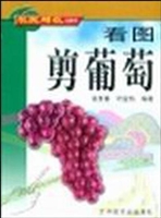 看图剪葡萄