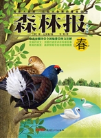 森林报——春