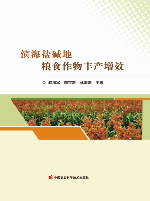 滨海盐碱地粮食作物丰