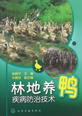 林地养鸭疾病防治技术