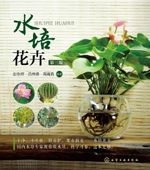 水培花卉