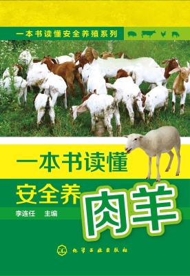 一本书读懂安全养肉羊