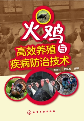 火鸡高效养殖与疾病防