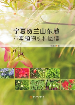 宁夏贺兰山东麓木本植
