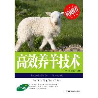 高效养羊技术