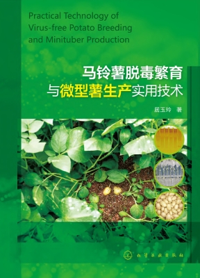 马铃薯脱毒繁育与微型