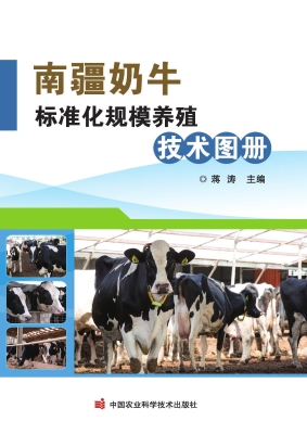 南疆奶牛标准化规模养