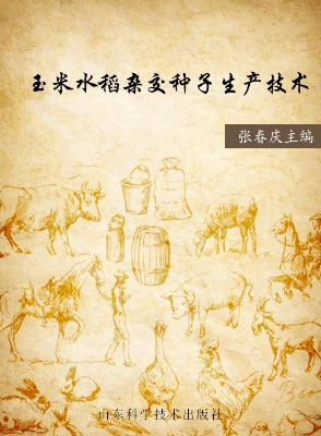 玉米水稻杂交种子生产