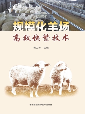 规模化羊场高效快繁技