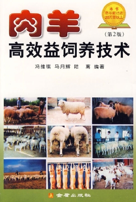 肉羊高效益饲养技术