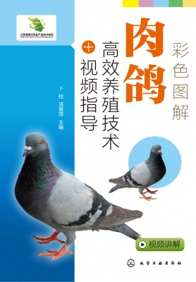 彩色图解肉鸽高效养殖