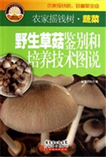 野生草菇鉴别和培养技