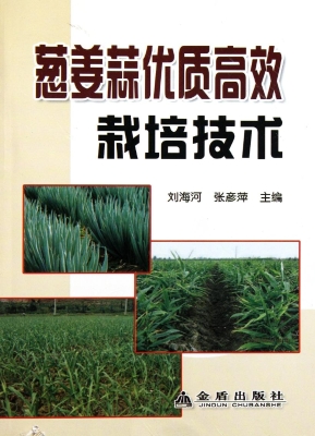 葱姜蒜优质高效栽培技