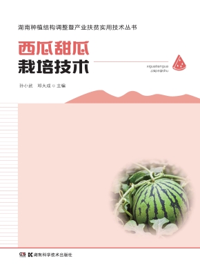西瓜甜瓜栽培技术