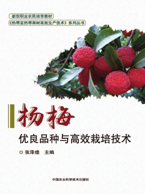 杨梅优良品种与高效栽