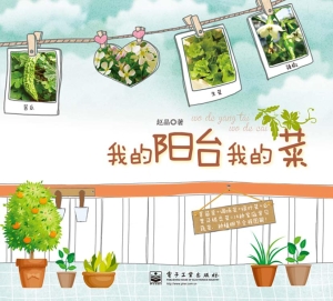 我的阳台我的菜