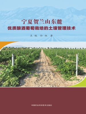 宁夏贺兰山东麓优质酿
