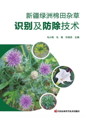 新疆绿洲棉田杂草识别