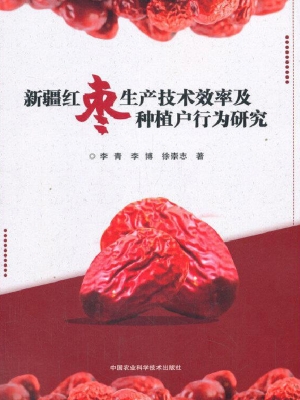 新疆红枣生产技术效率