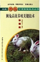 獭兔高效饲养关键技术