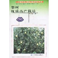 梨树优质高产栽