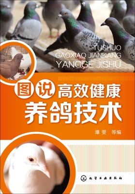 图说高效健康养鸽技术