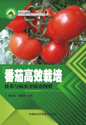 番茄高效栽培技术与病
