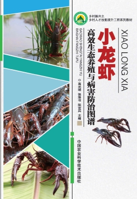 小龙虾高效生态养殖与