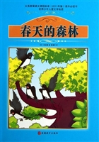 春天的森林