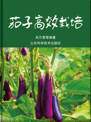 茄子高效栽培