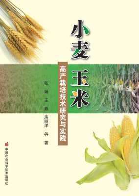 小麦玉米高产栽培技术